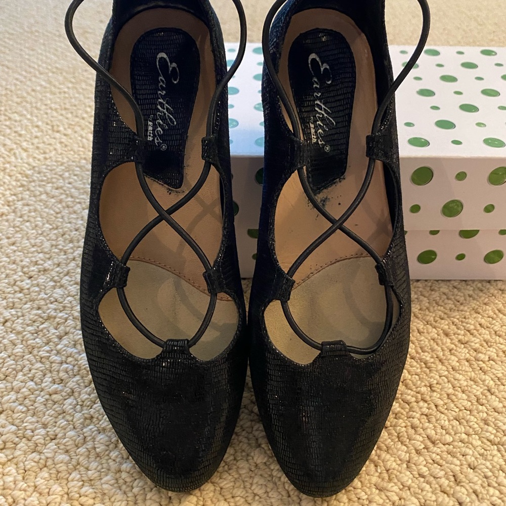 Earthies by Earth Ballet flats :Gently Worn